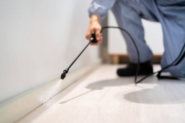 Reliable Nashville, IN Pest Control Solutions