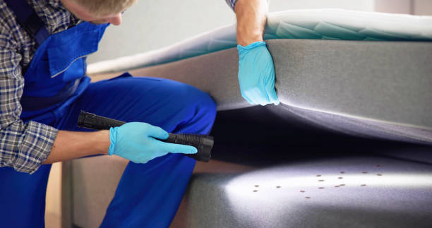 Best Emergency Pest Control  in Nashville, IN