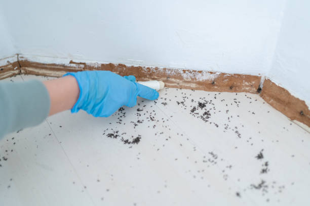 Best Best Pest Control Companies  in Nashville, IN
