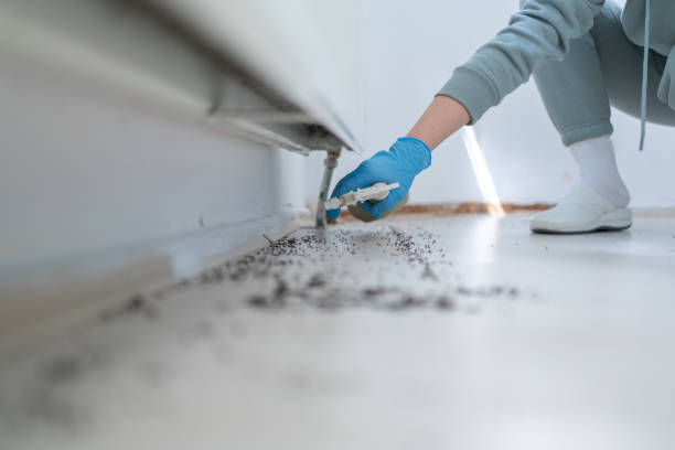 Best Exterminator Services  in Nashville, IN